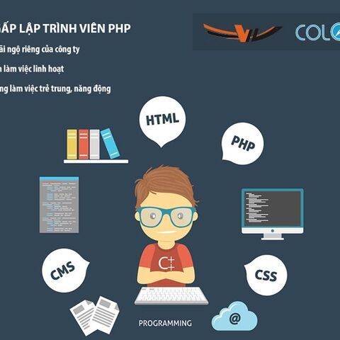 Công ty cổ phần truyền thông Văn Hóa Việt tuyển dụng lập trình viên