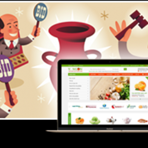 Thiết kế sàn đấu giá thương mại điện tử