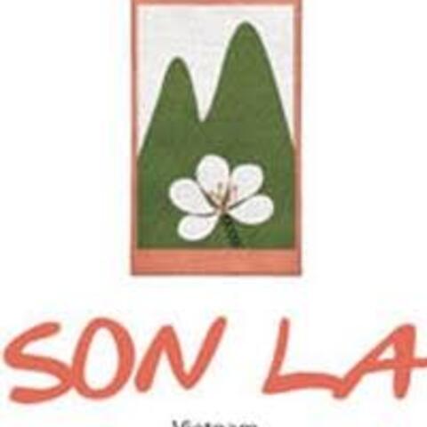 Thiết kế website tại Sơn La