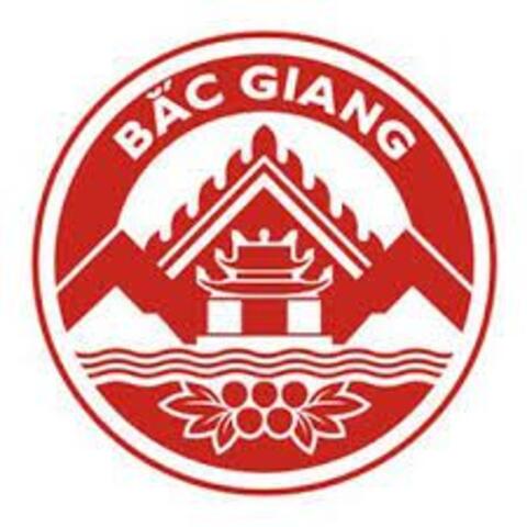 Thiết kế website tại Bắc Giang