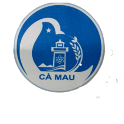 Thiết kế website tại Cà Mau