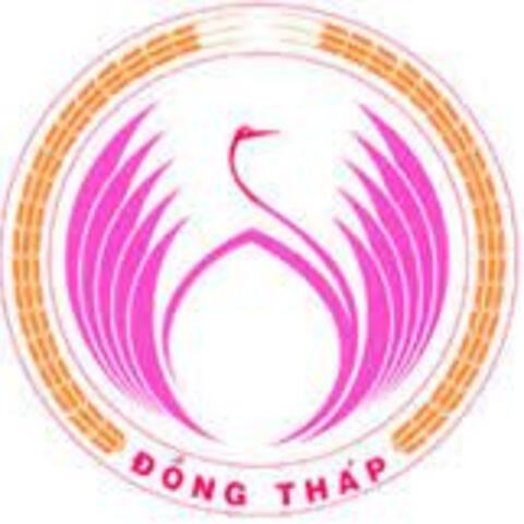 Thiết kế website tại Đồng Tháp
