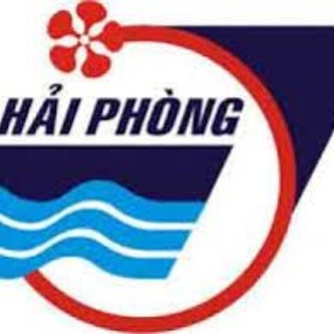 Xây dựng website chuẩn SEO tại Hải Phòng