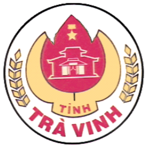 Thiết kế website chuẩn SEO tại Trà Vinh