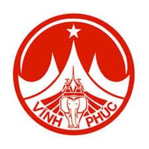 Thiết kế website chuyên nghiệp chuẩn SEO tại Vĩnh Phúc