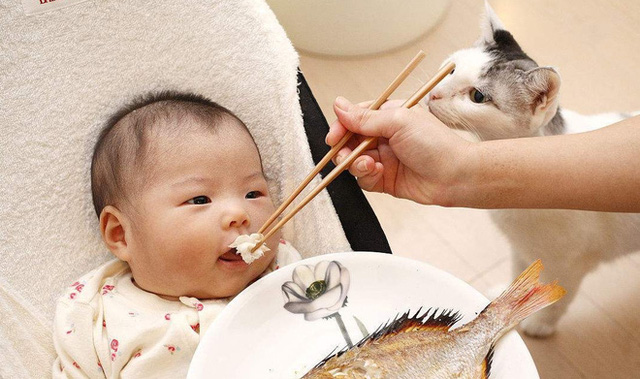 3 loại cá tốt nhất nên ăn ít, ít dinh dưỡng nhưng lại nhiều độc tố, loại đầu tiên có thể gia đình bạn vẫn ăn thường xuyên - Ảnh 1. 3 loại cá tốt nhất nên ăn ít, ít dinh dưỡng nhưng lại nhiều độc tố, loại đầu tiên có thể gia đình bạn vẫn ăn thường xuyên - Ảnh 1.