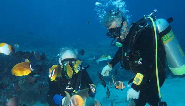 Viện trưởng 85 tuổi vẫn đi lặn biển, học ngoại ngữ, tiết lộ 5 bí mật của tuổi thọ: Muốn trở thành một người già khỏe mạnh, phải có sự chuẩn bị ngay từ khi trẻ - Ảnh 1.