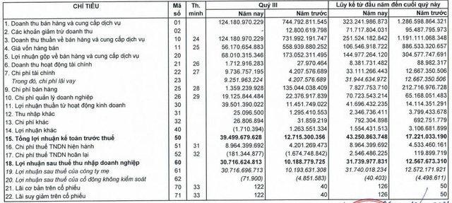 Cắt giảm được 99% chi phí bán hàng, Đầu tư LDG báo lãi quý 3 gấp 3 lần cùng kỳ - Ảnh 1.