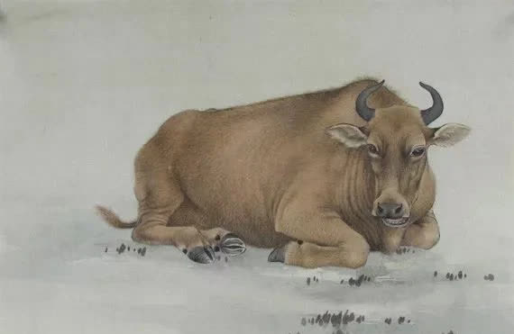 Tổng quan 12 con giáp tháng 11: Tuổi Thân có bước ngoặt mới, Tuất tiền bạc rủng rỉnh, riêng Thìn phải đặc biệt đề phòng - Ảnh 1. Tổng quan 12 con giáp tháng 11: Tuổi Thân có bước ngoặt mới, Tuất tiền bạc rủng rỉnh, riêng Thìn phải đặc biệt đề phòng - Ảnh 1.