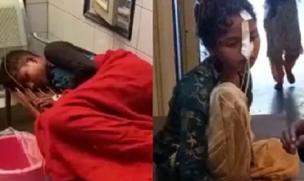 7 người bị ngộ độc, 2 người tử vong sau khi ăn cà ri, chuyên gia cảnh báo 4 cách càng rửa rau củ càng độc hại mà nhiều người vẫn làm - Ảnh 1. 7 người bị ngộ độc, 2 người tử vong sau khi ăn cà ri, chuyên gia cảnh báo 4 cách càng rửa rau củ càng độc hại mà nhiều người vẫn làm - Ảnh 1.