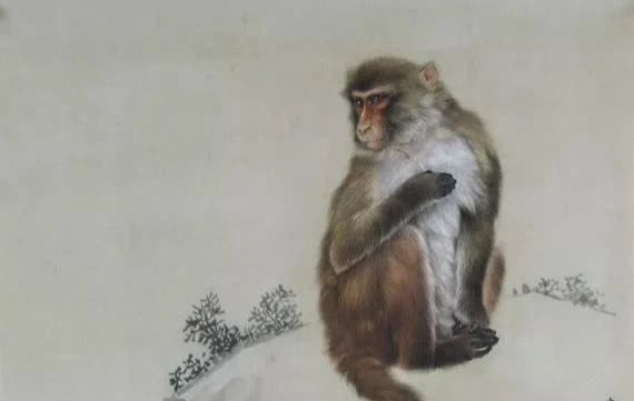 Tổng quan 12 con giáp tháng 11: Tuổi Thân có bước ngoặt mới, Tuất tiền bạc rủng rỉnh, riêng Thìn phải đặc biệt đề phòng - Ảnh 4. Tổng quan 12 con giáp tháng 11: Tuổi Thân có bước ngoặt mới, Tuất tiền bạc rủng rỉnh, riêng Thìn phải đặc biệt đề phòng - Ảnh 4.