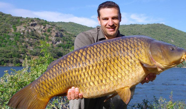 3 loại cá tốt nhất nên ăn ít, ít dinh dưỡng nhưng lại nhiều độc tố, loại đầu tiên có thể gia đình bạn vẫn ăn thường xuyên - Ảnh 4. 3 loại cá tốt nhất nên ăn ít, ít dinh dưỡng nhưng lại nhiều độc tố, loại đầu tiên có thể gia đình bạn vẫn ăn thường xuyên - Ảnh 4.